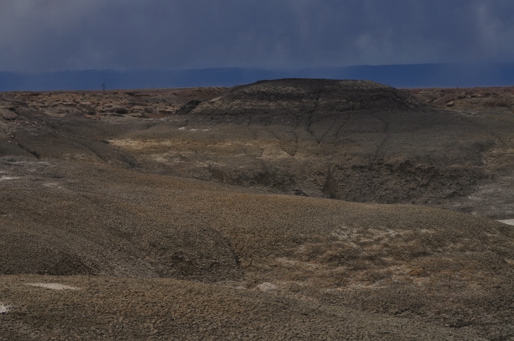 bisti wilderness